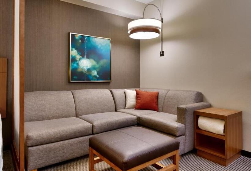 适合残疾人使用的标准间, Hyatt Place Boise/downtown