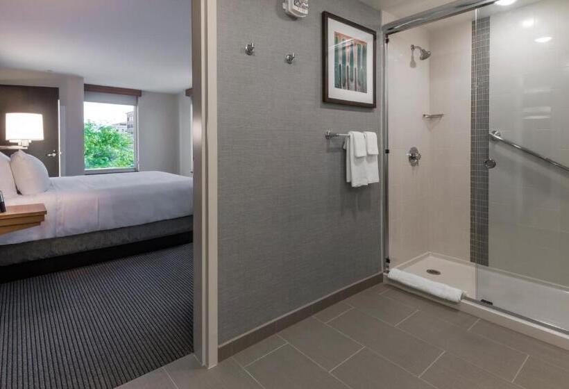 带大床的套房, Hyatt Place Boise/downtown