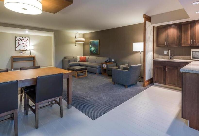 带大床的套房, Hyatt Place Boise/downtown