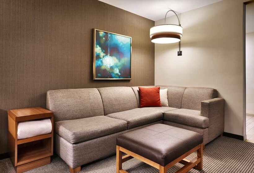 带大床的套房, Hyatt Place Boise/downtown