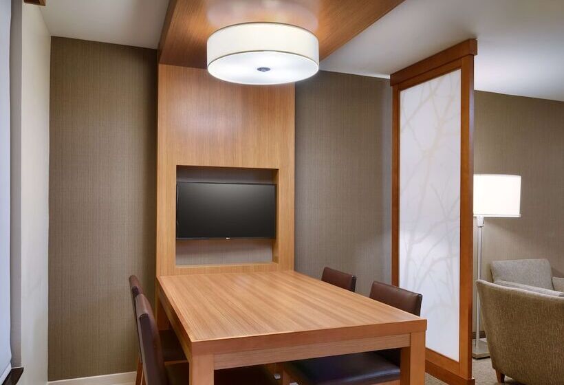 带大床的套房, Hyatt Place Boise/downtown