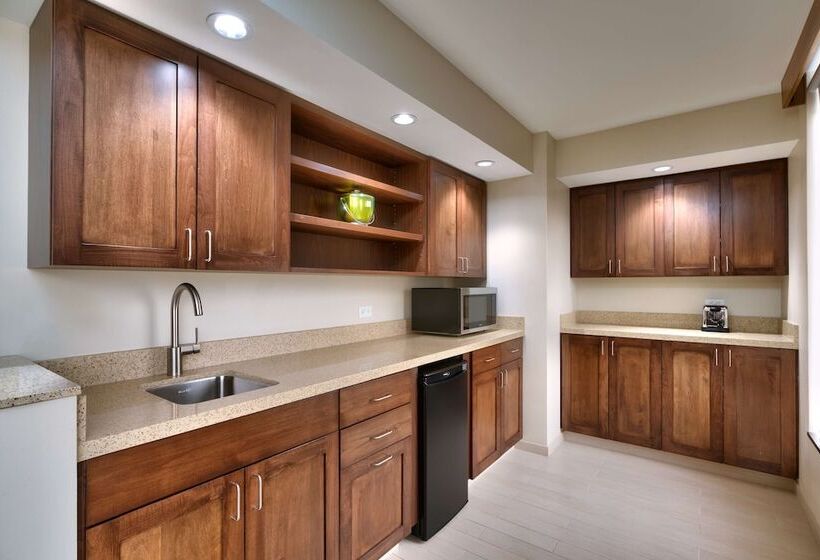 سوئیت با تخت بزرگ, Hyatt Place Boise/downtown