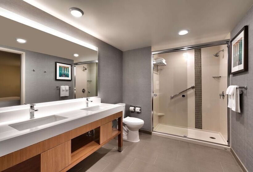 带大床的套房, Hyatt Place Boise/downtown