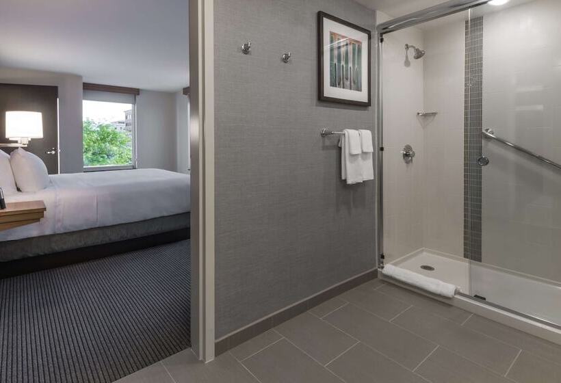 带大床的套房, Hyatt Place Boise/downtown