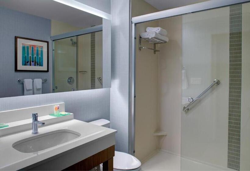 Стандартный Номер Кровать Кинг, Hyatt Place Dallas/the Colony