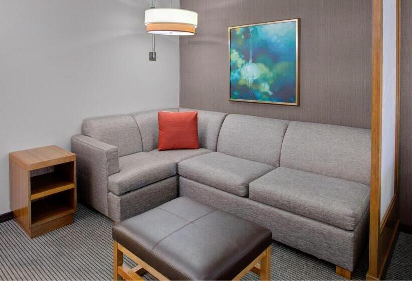 Стандартный Номер Кровать Кинг, Hyatt Place Dallas/the Colony
