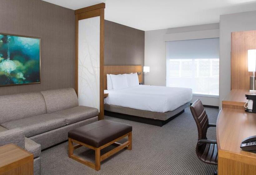 身障者適用スタンダードルーム, Hyatt Place Dallas/the Colony