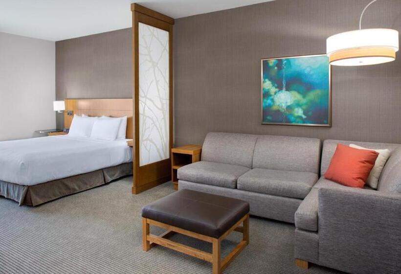 장애인을 위한 스탠다드 룸, Hyatt Place Dallas/the Colony