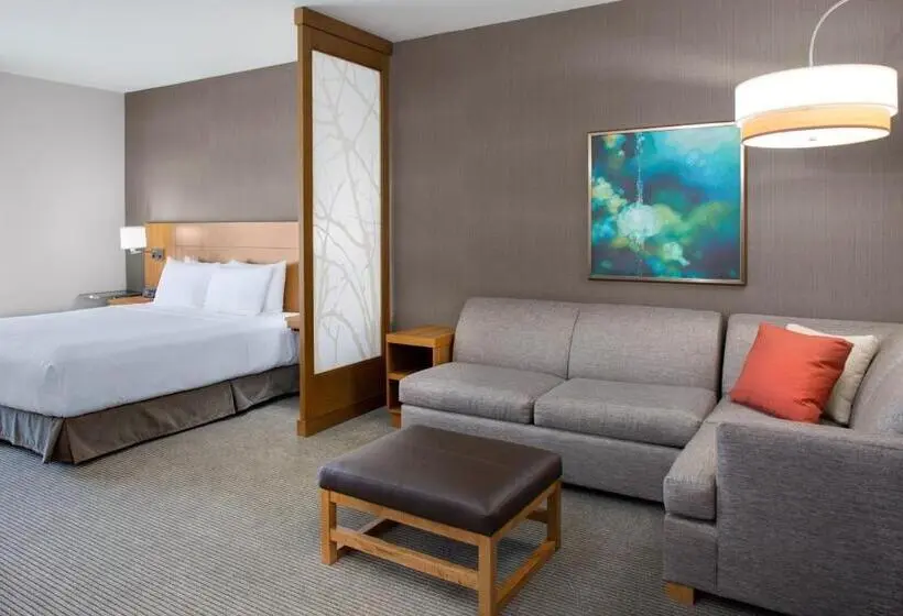 Standard-invahuone, Hyatt Place Dallas/the Colony