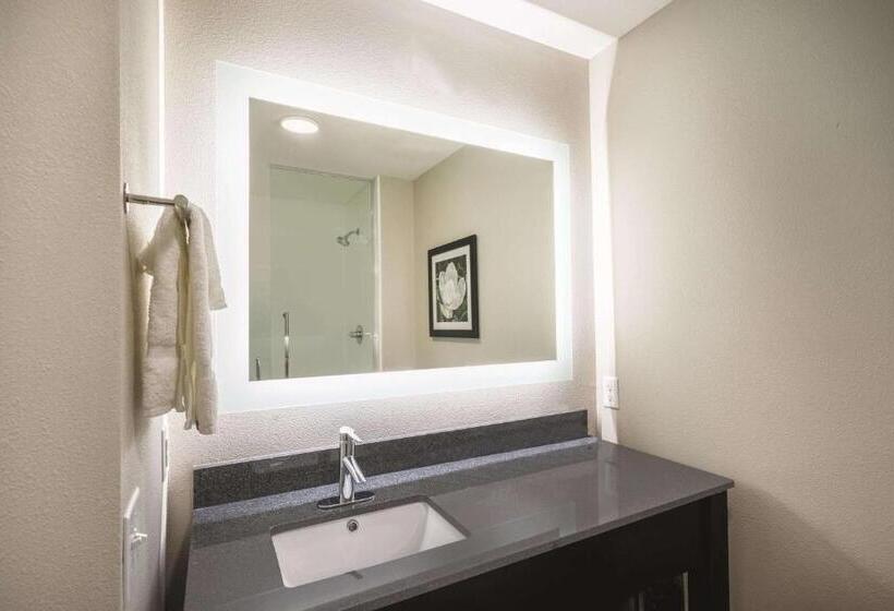 带大床的标准间, La Quinta Inn & Suites By Wyndham Memphis Downtown