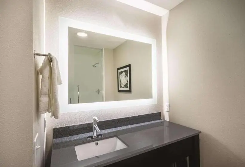 キングサイズベッドのスタンダードルーム, La Quinta Inn & Suites By Wyndham Memphis Downtown