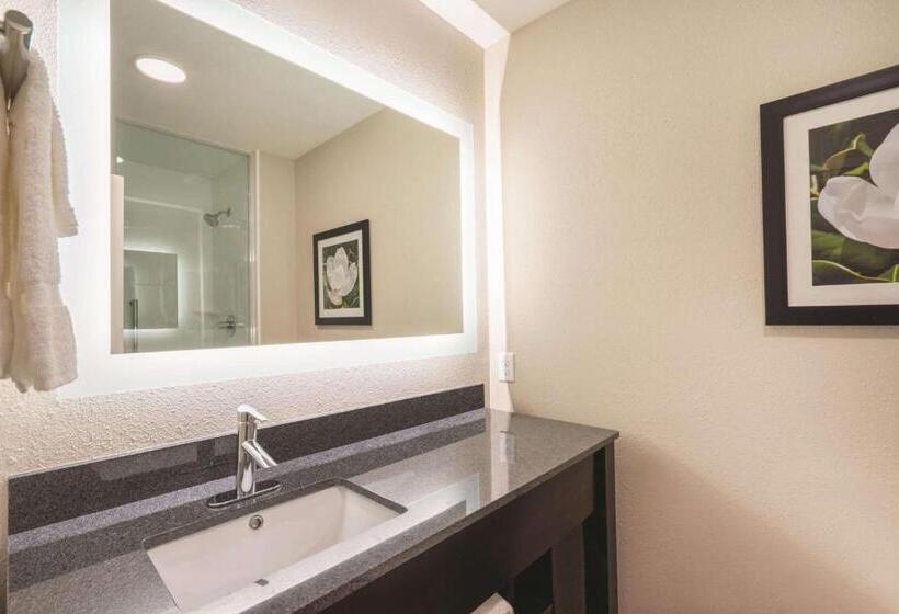 带大床的行政房间, La Quinta Inn & Suites By Wyndham Memphis Downtown