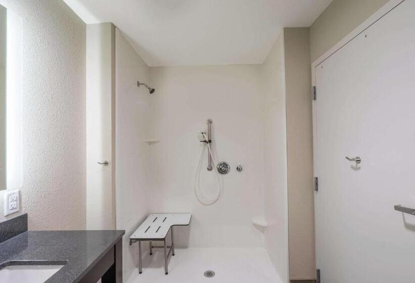 适合残疾人使用的标准间, La Quinta Inn & Suites By Wyndham Memphis Downtown
