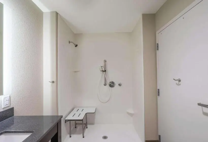 身障者適用スタンダードルーム, La Quinta Inn & Suites By Wyndham Memphis Downtown