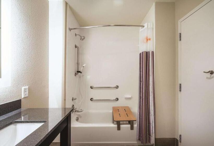 适用于残疾人士的豪华房间, La Quinta Inn & Suites By Wyndham Memphis Downtown