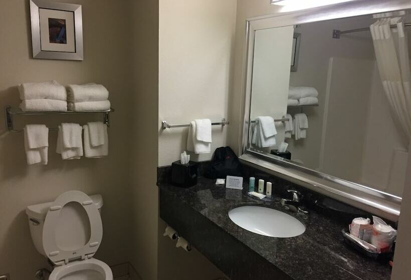 غرفه قياسيه سريرين مزدوجين, Quality Inn