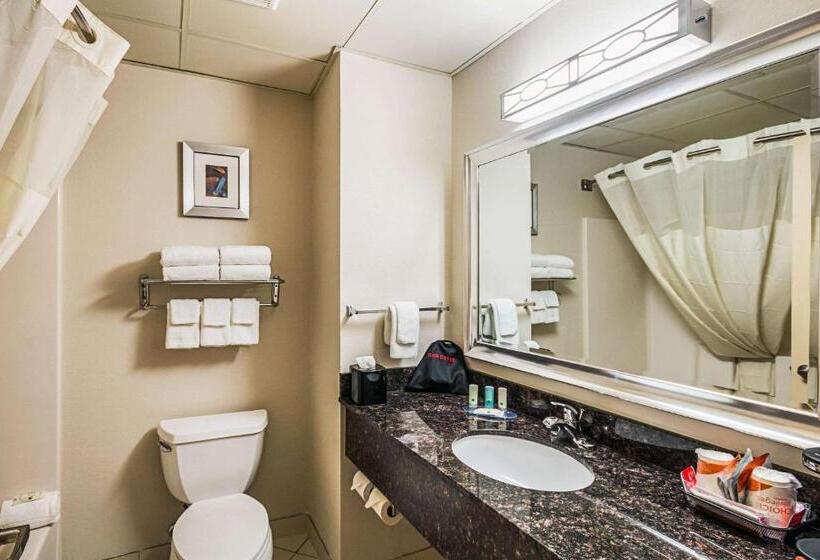 غرفه قياسيه سريرين مزدوجين, Quality Inn