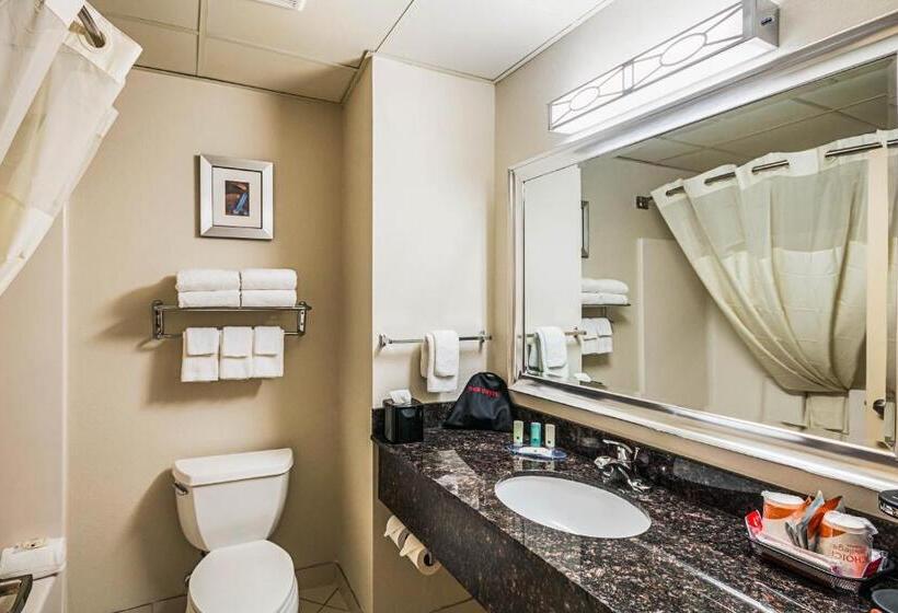 غرفة قياسية سرير كينج, Quality Inn