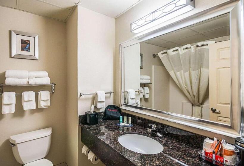 غرفة قياسية سرير كينج, Quality Inn