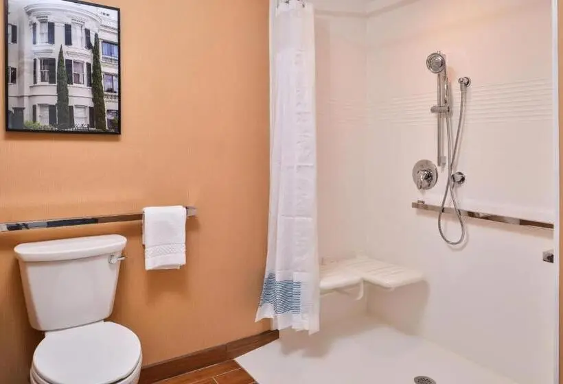 Standard-studio King-vuode, Towneplace Suites By Marriott Charlestonwest Ashley