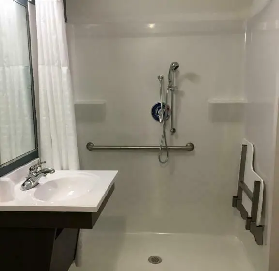 身障者適用スタンダードルーム, Woodspring Suites Daytona Beach Int L Speedway