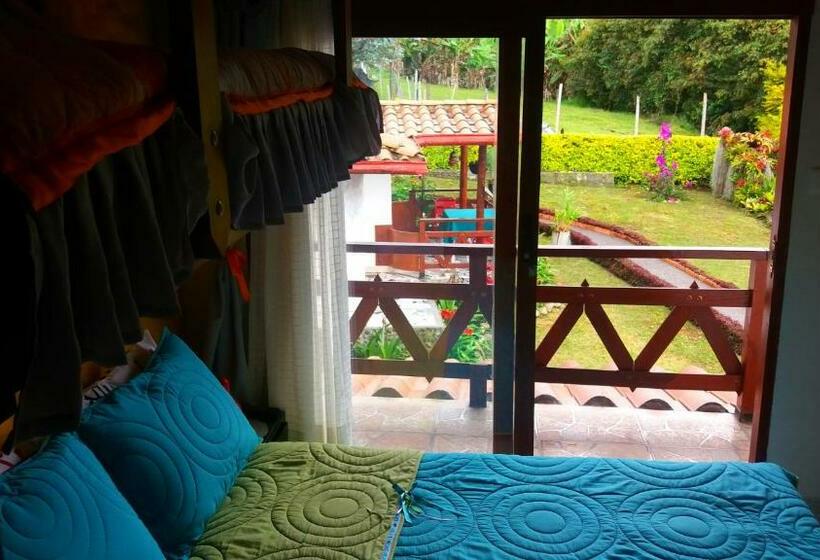 이코노미 룸, Coliving La Boira