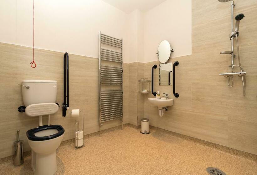 חדר סטנדרט, מיטת קינג, מותאם לאדם עם מוגבלויות, Mill Lodge B&b