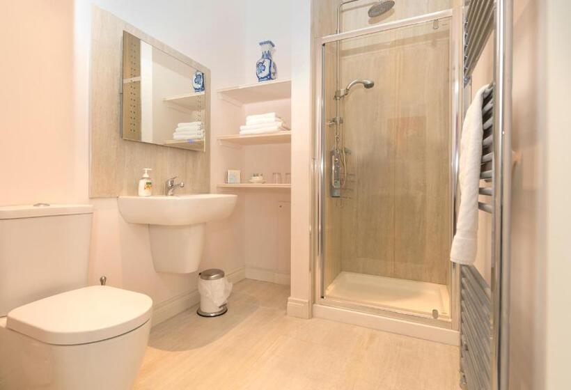 חדר דחוקס עם מיטת קינג, Mill Lodge B&b