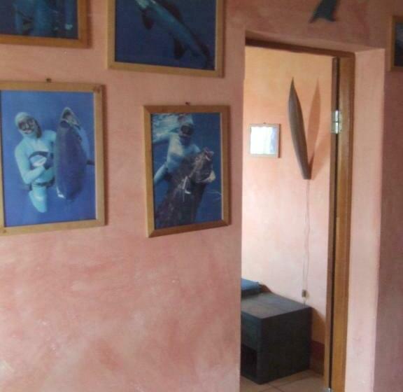 اتاق استاندارد, Tortuga B&b