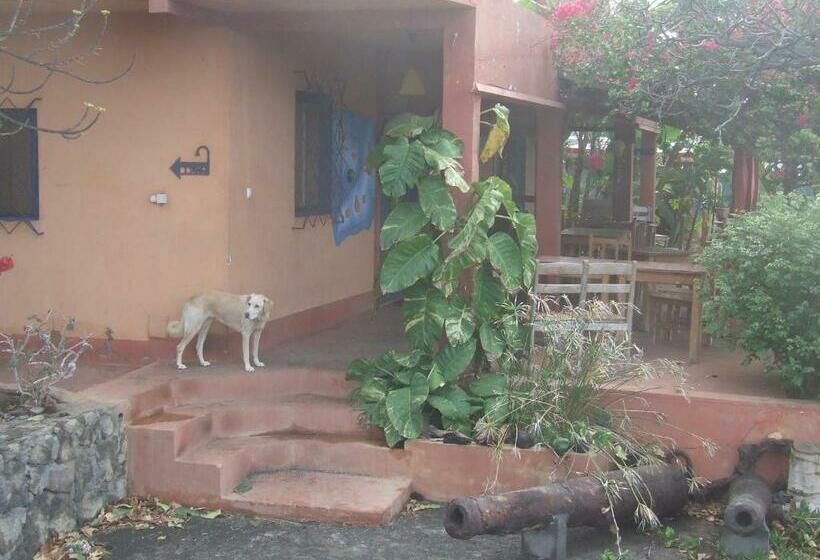 اتاق استاندارد, Tortuga B&b