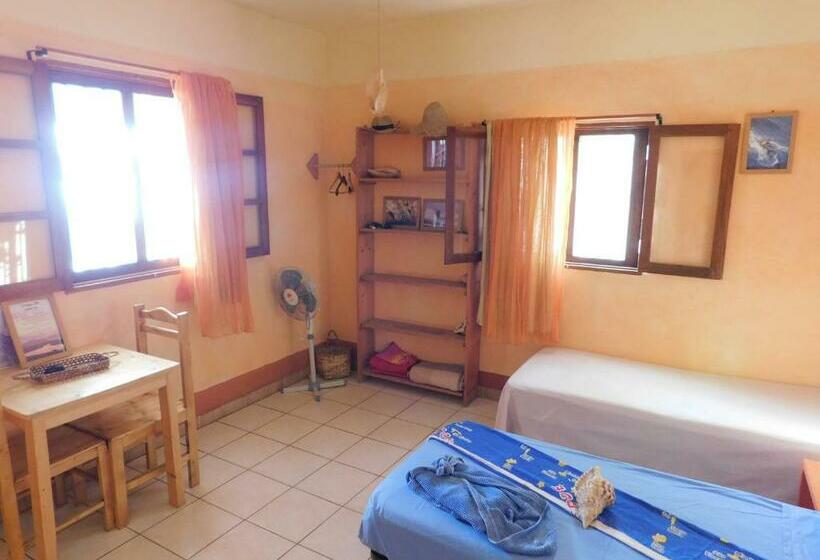 اتاق استاندارد, Tortuga B&b