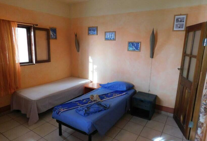 اتاق استاندارد, Tortuga B&b