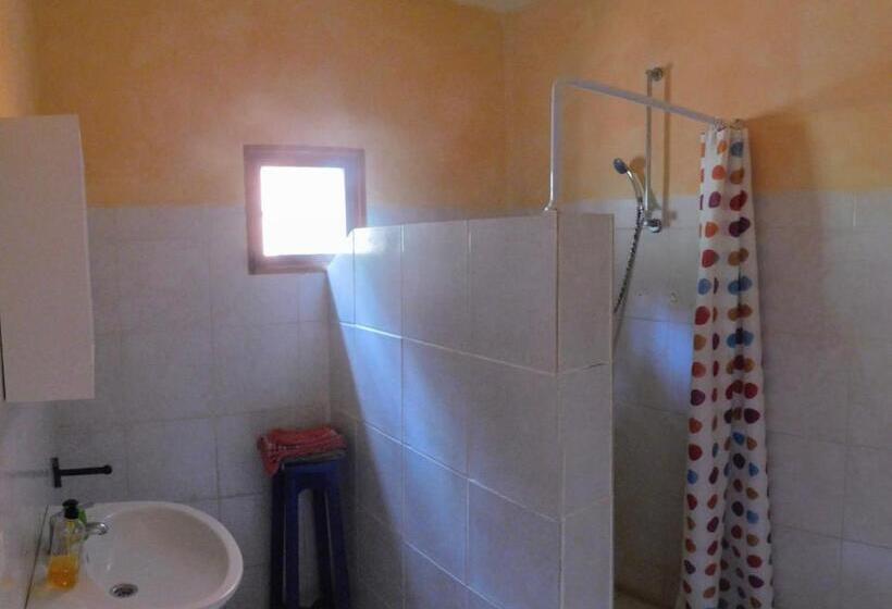 اتاق استاندارد, Tortuga B&b