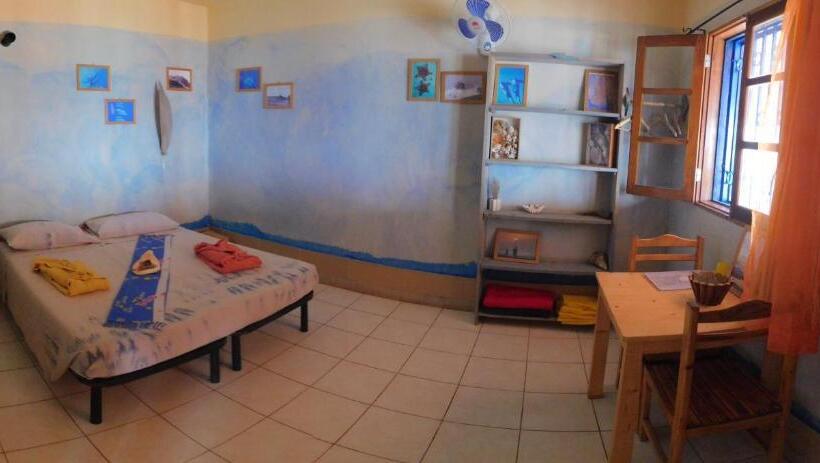 اتاق استاندارد, Tortuga B&b