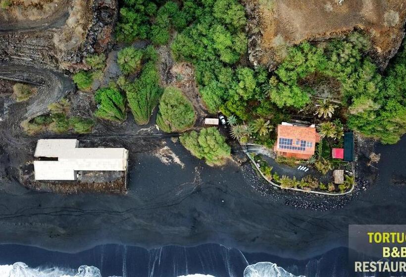 اتاق استاندارد, Tortuga B&b