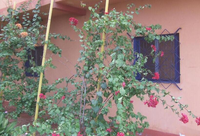 اتاق استاندارد سه نفره, Tortuga B&b