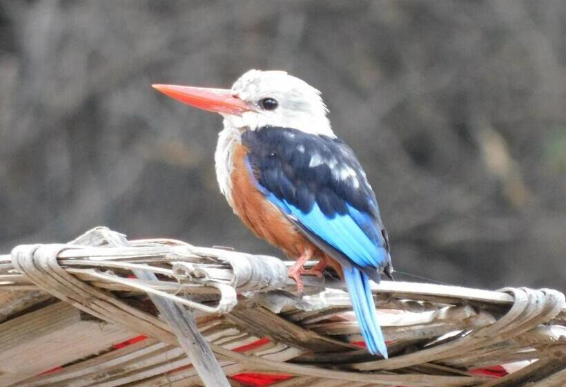 ویلای استاندارد با چشمانداز باغ, Tortuga B&b