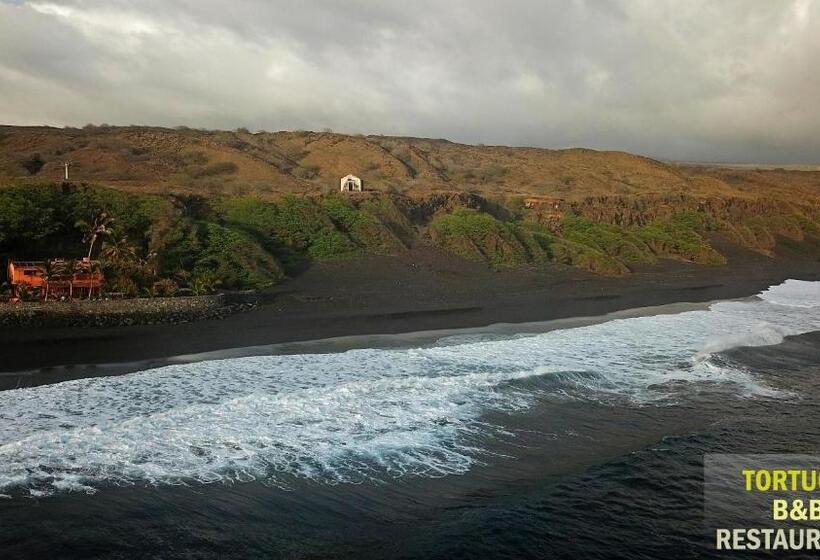 ویلای استاندارد با چشمانداز باغ, Tortuga B&b