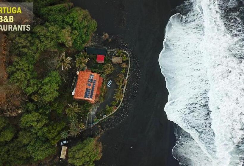 اتاق استاندارد, Tortuga B&b