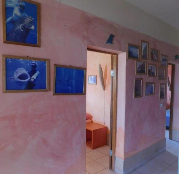 اتاق استاندارد, Tortuga B&b