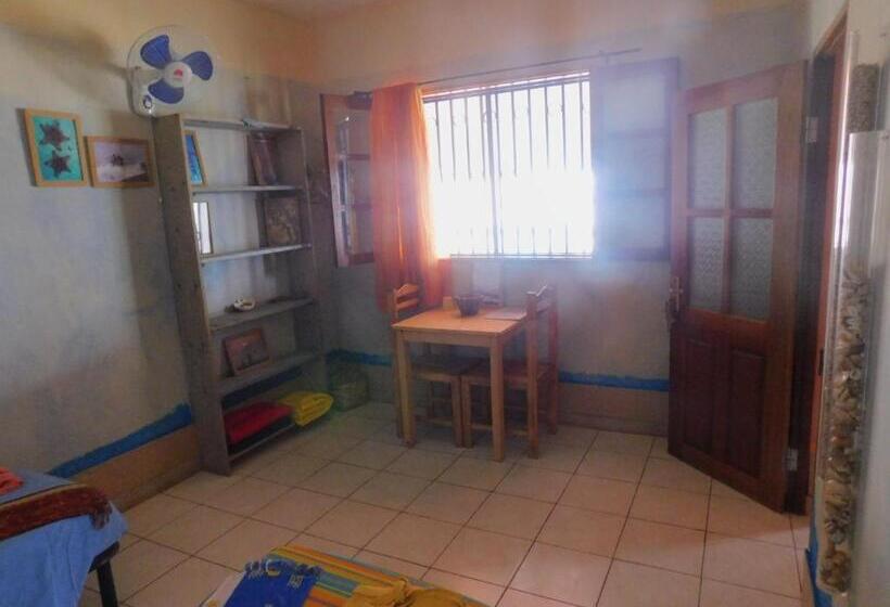 اتاق استاندارد, Tortuga B&b