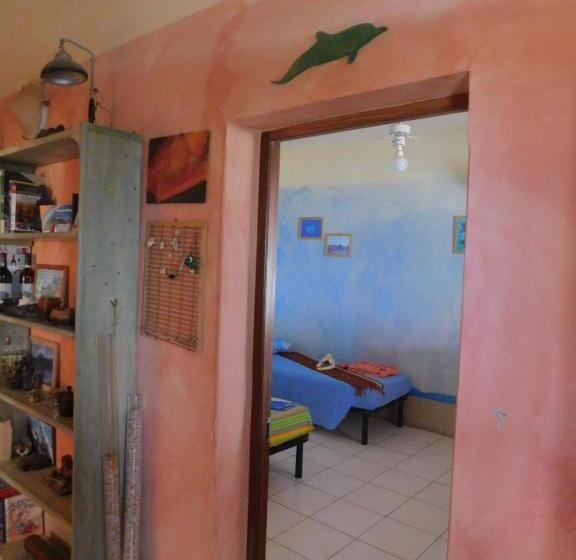 اتاق استاندارد, Tortuga B&b