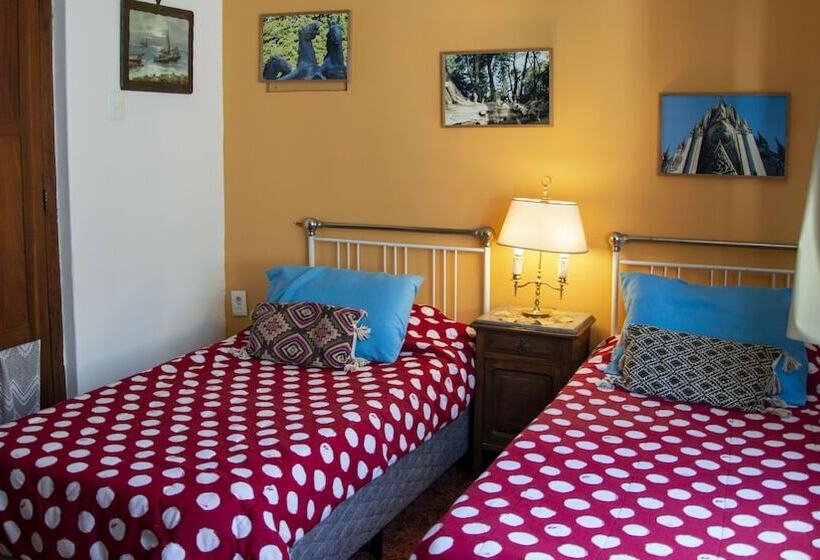 اتاق استاندارد, Cane B&b