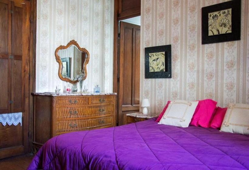 اتاق استاندارد چهارنفره با چشمانداز باغ, Cane B&b