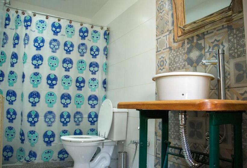 اتاق استاندارد, Cane B&b