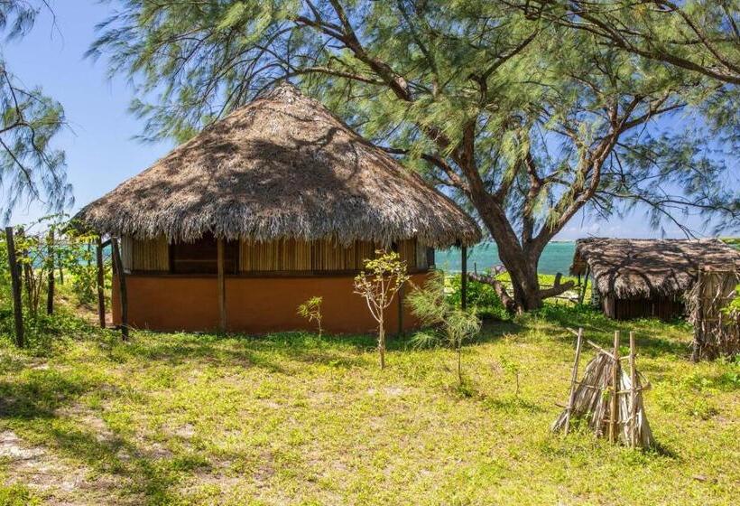 اتاق استاندارد با چشمانداز دریا, Varatraza Wind Riders