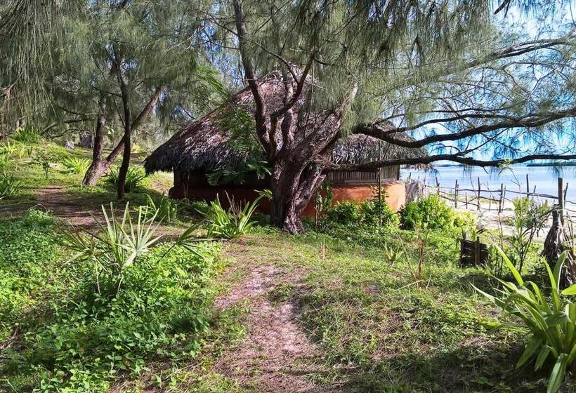 اتاق استاندارد با چشمانداز دریا, Varatraza Wind Riders