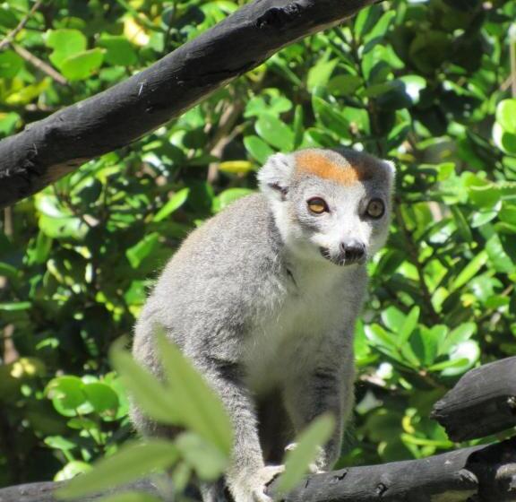 اتاق استاندارد با چشمانداز دریا, Varatraza Wind Riders