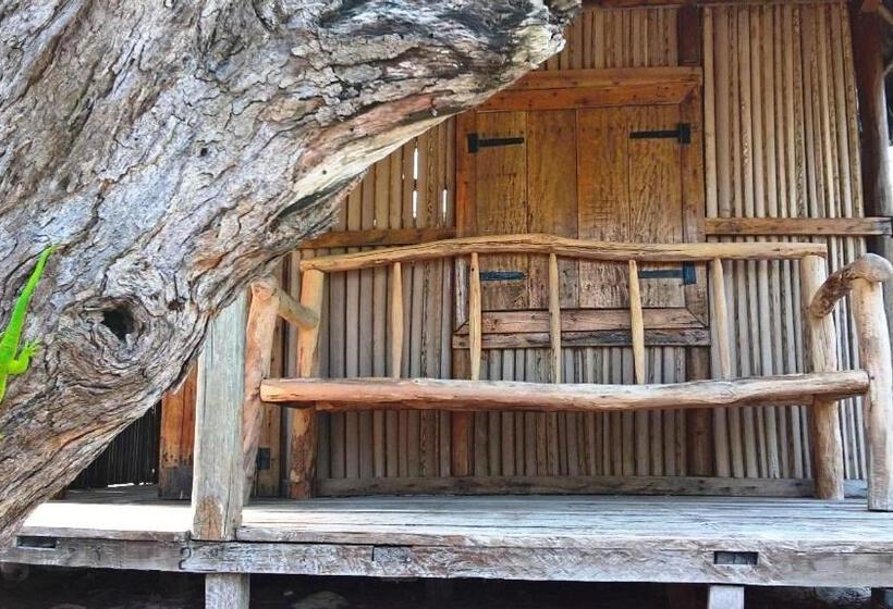 بنگله خانوادگی, Varatraza Wind Riders