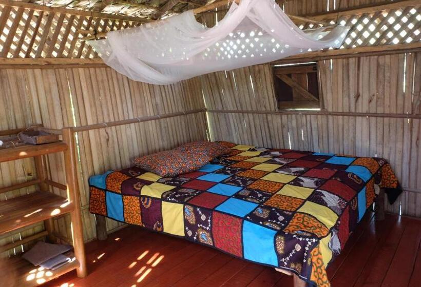 بانگلوی استاندارد, Varatraza Wind Riders